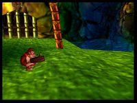 une photo d'Ã©cran de Donkey Kong 64 sur Nintendo 64